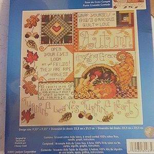 Autumn, Leaves, Acorns, Pumpkin Counted Cross Stitch Kit Janlynn